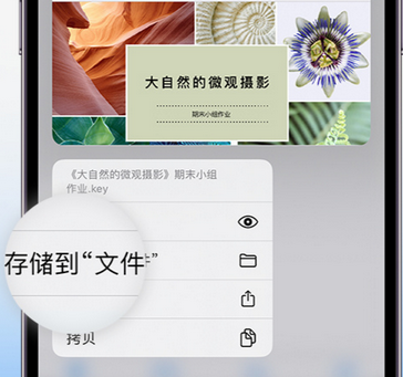 歙县apple维修中心分享iPhone文件应用中存储和找到下载文件