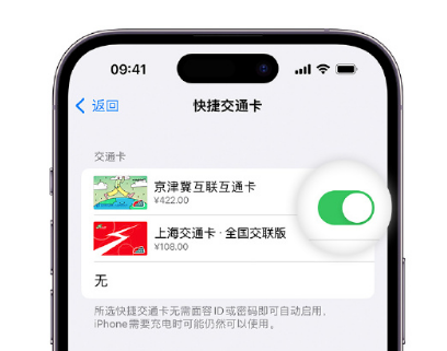 歙县apple维修点分享iPhone上更换Apple Pay快捷交通卡手绘卡面 