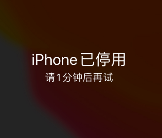 歙县苹果手机维修分享:iPhone 显示“不可用”或“已停用”怎么办？还能保留数据吗？ 