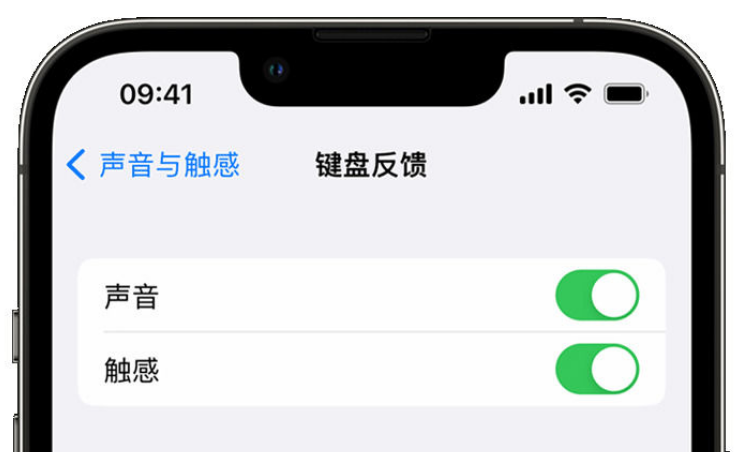 歙县苹果手机维修分享iPhone 14触感键盘使用方法 