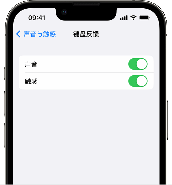 歙县苹果14维修店分享如何在 iPhone 14 机型中使用触感键盘 