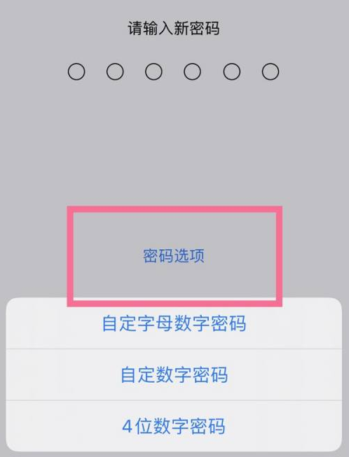 歙县苹果14维修分享iPhone 14plus设置密码的方法 