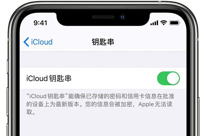 歙县苹果手机维修分享在 iPhone 上开启 iCloud 钥匙串之后会储存哪些信息 