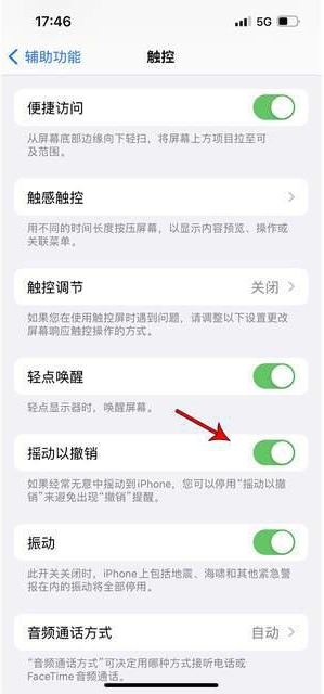 歙县苹果手机维修分享iPhone手机如何设置摇一摇删除文字 